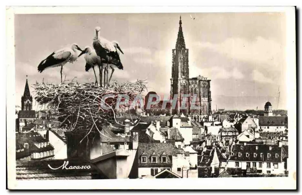 Strasbourg — Vue générale avec nid de cigognes — Marasco - Vorderseite