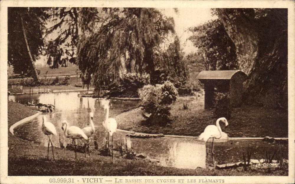 Vichy — Der Schwanenteich und die Flamingos — La Cigogne - Vorderseite
