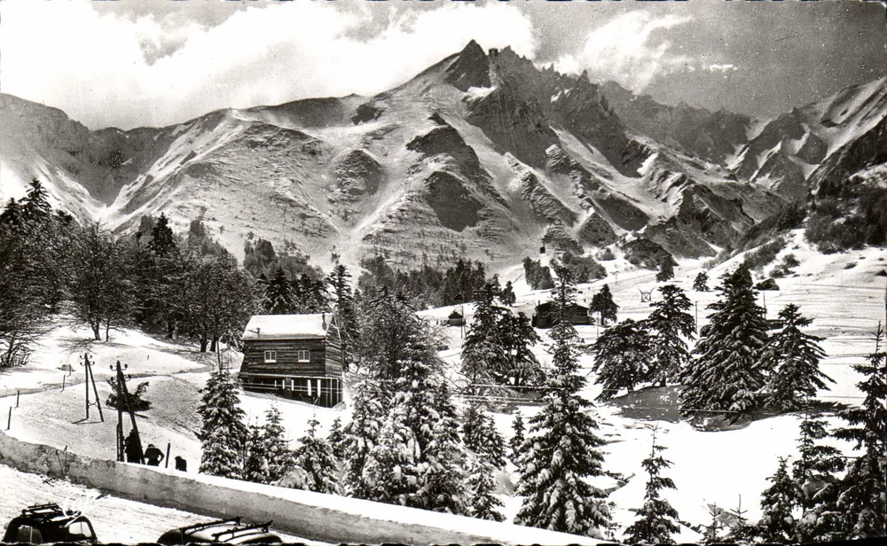 Le Mont-Dore - Le Parc et l'Hôtel des Sapins — Verlag Christian, n° 237 - Vorderseite