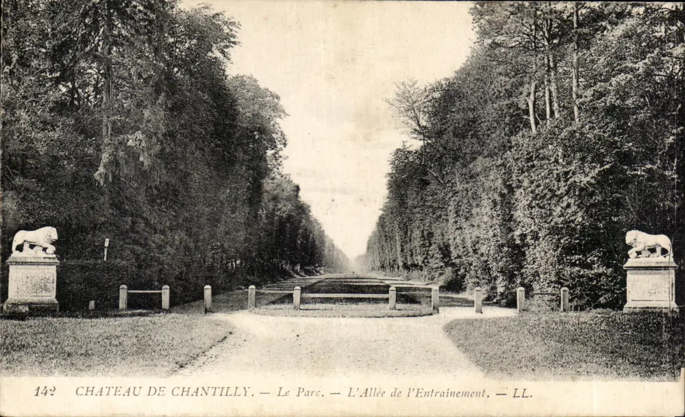 Schloss Chantilly — Der Park — Die Trainingsallee — LL. — N° 142 - Vorderseite