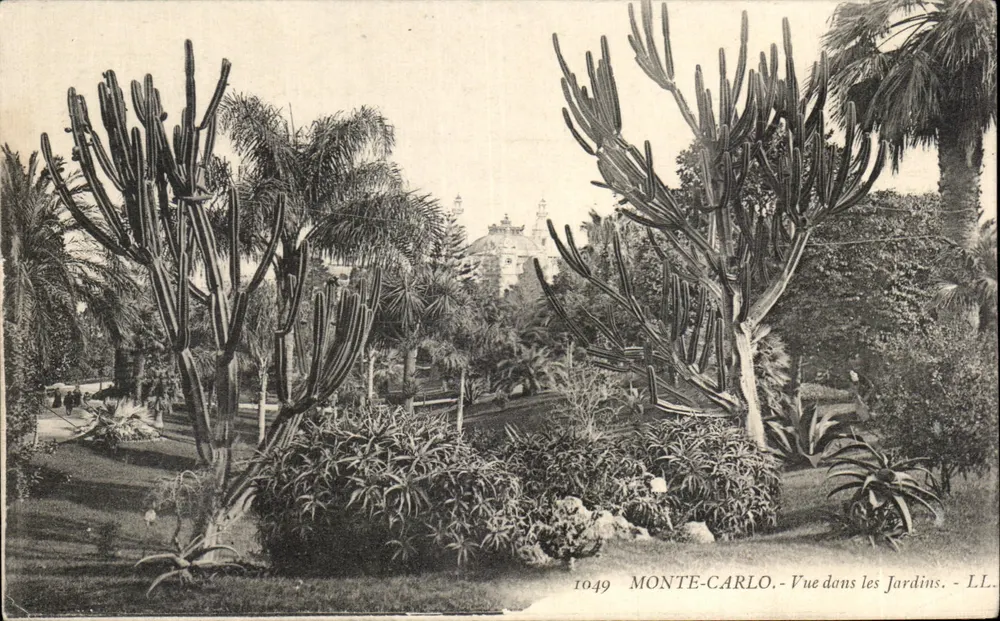 Monte-Carlo — Vista nos Jardins — LL. n° 1049 - Frente