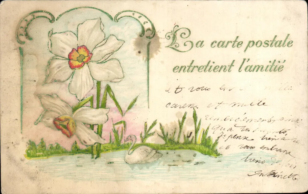 Narcisos y cisne — La tarjeta postal mantiene la amistad — editor no visible - Anverso