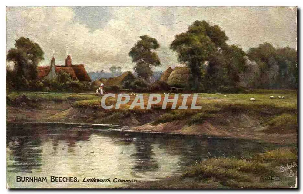 Burnham Beeches. Littleworth Common — Landschaftsansicht mit Haus und Schafen — Verlag Oilette - Vorderseite