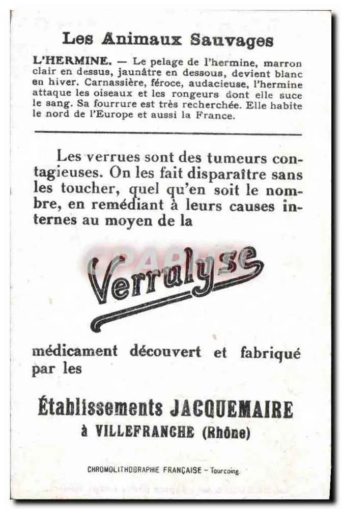Hermine — Animais Selvagens — Estabelecimentos Jacquemaire - Verso