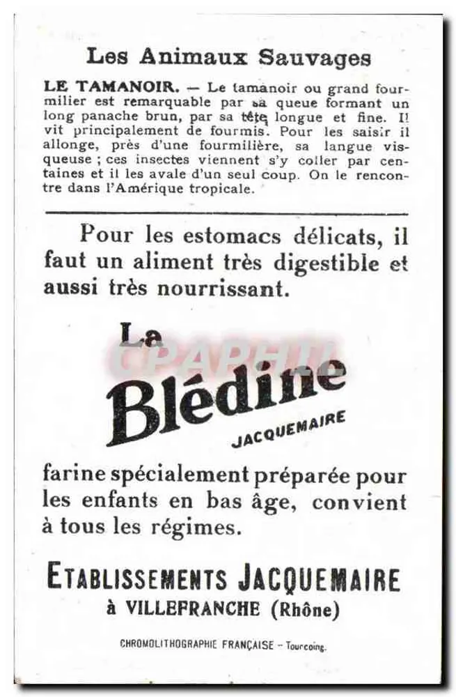 TAMANANOIR — Wildtiere — Verlag: Etablissements Jacquemaire - Rückseite