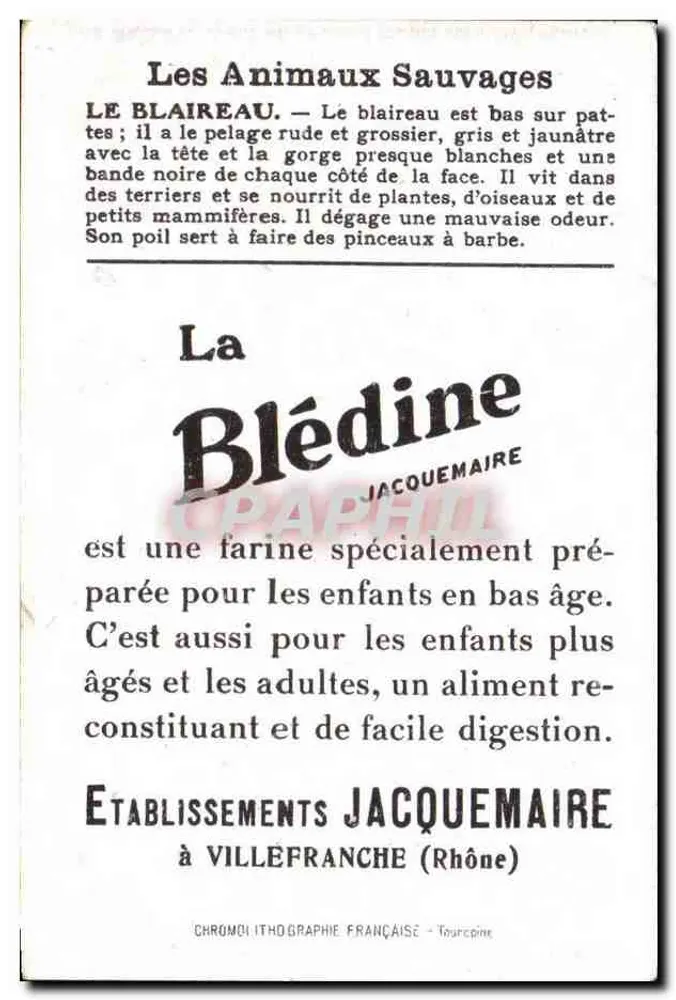 Biber — Die Blédine wissenschaftlich untersucht — Jacquemaire-Establishments - Rückseite