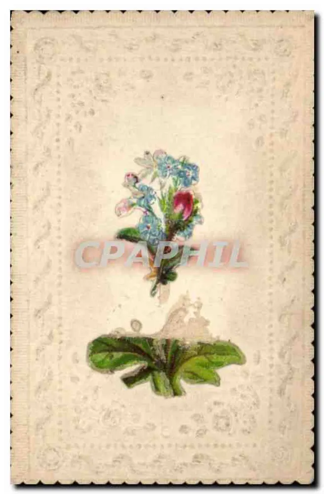 Flor azul e rosa — carta postal antiga — editor desconhecido - Frente
