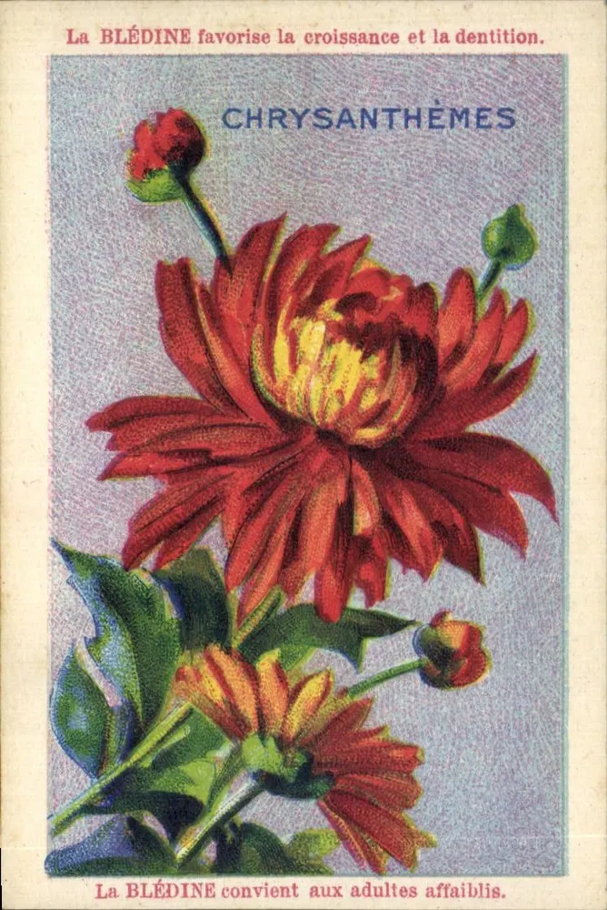 Críptamios — publicidade para a Blédine — editor Jacquemaire, n° 51 à Villefranche (Rhône) - Frente