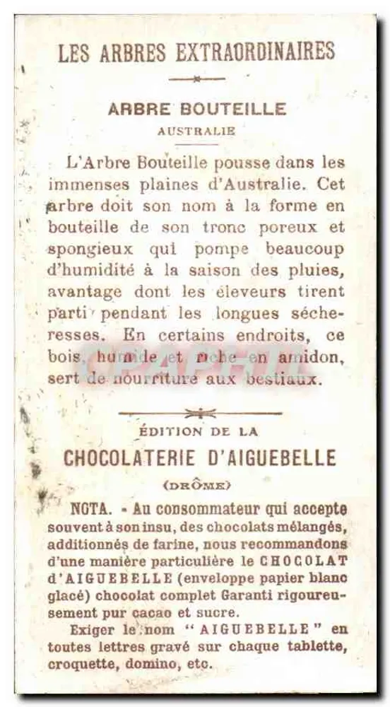 Árvore de garrafa — Austrália — Chocolaterie d'Aiguebelle - Verso