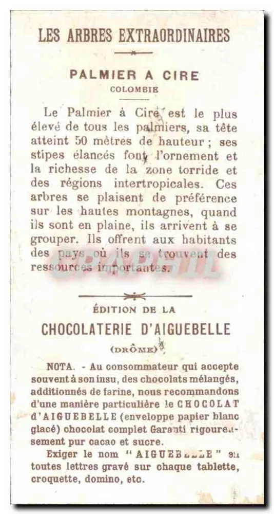 Palmier à Cire — Colômbia — Chocolate d'Aiguebelle - Verso