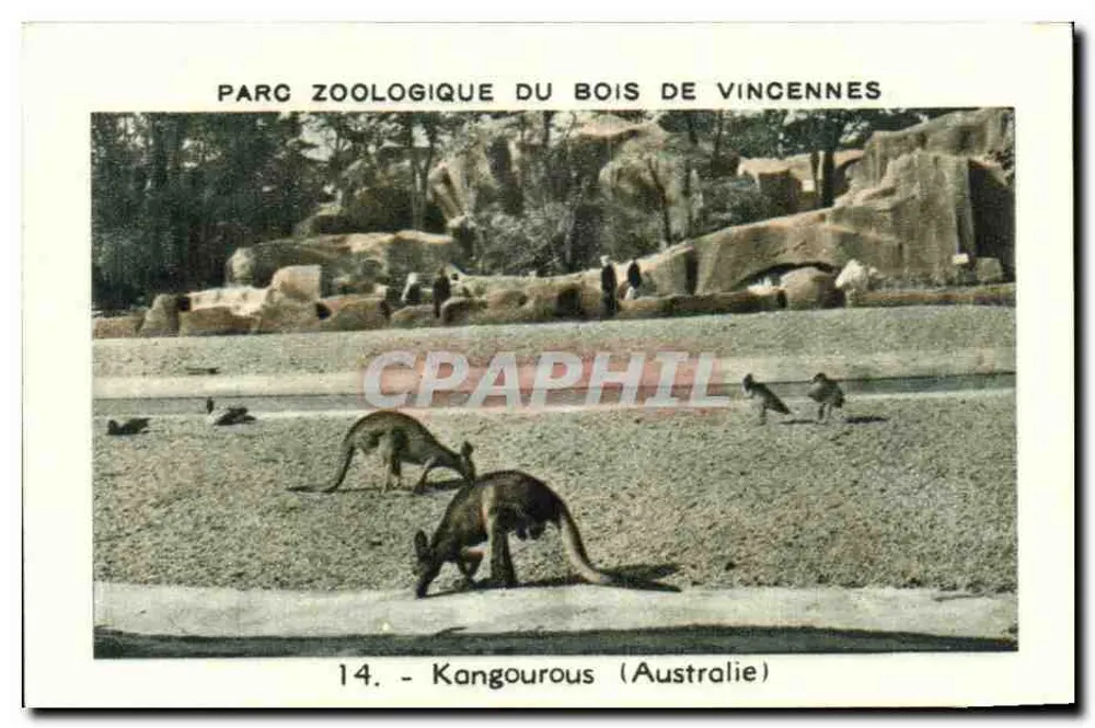 Kangalos — Zoo-Park Bois de Vincennes — Serie 14 - Vorderseite