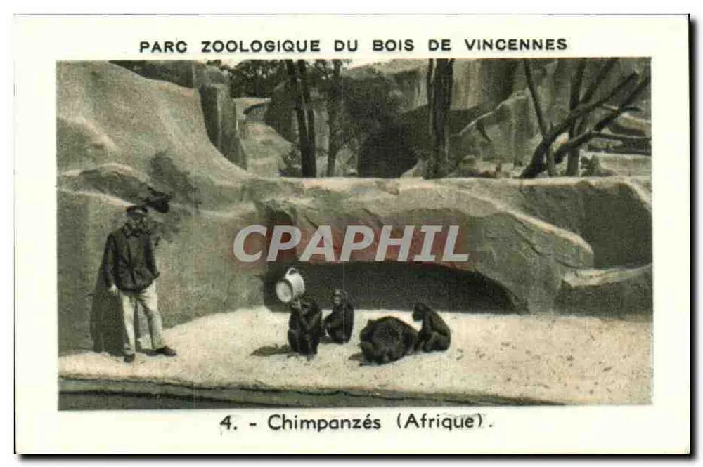 Schimpansen (Afrika) — Zoologischer Park Bois de Vincennes — Serie 4 - Vorderseite
