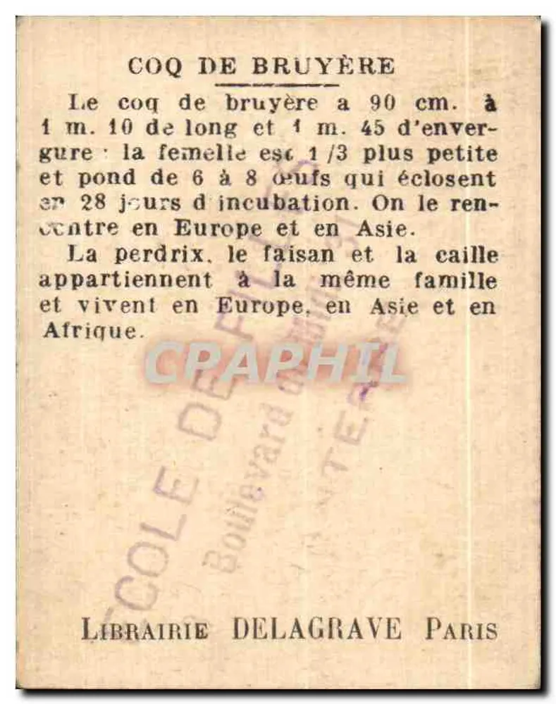 Heidehuhn oder Tetra — Librairie Delagrave Paris - Rückseite