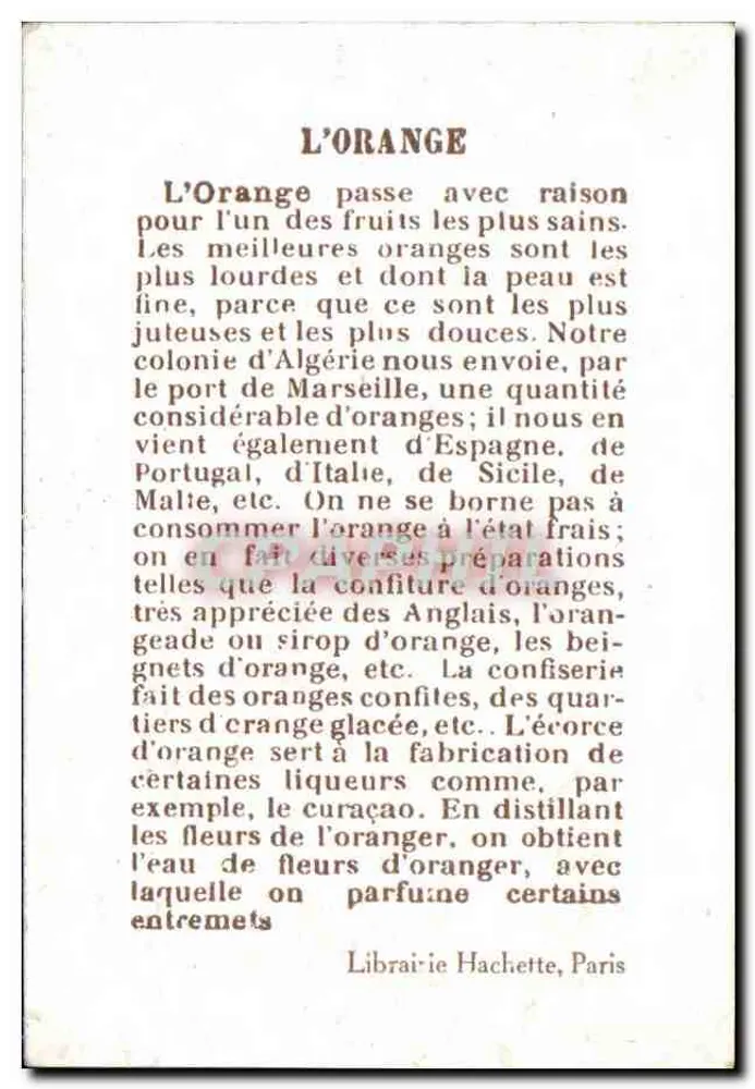 L'ORANGE — carta ilustrada com retrato de homem e frutas — Livraria Hachette, Paris - Verso