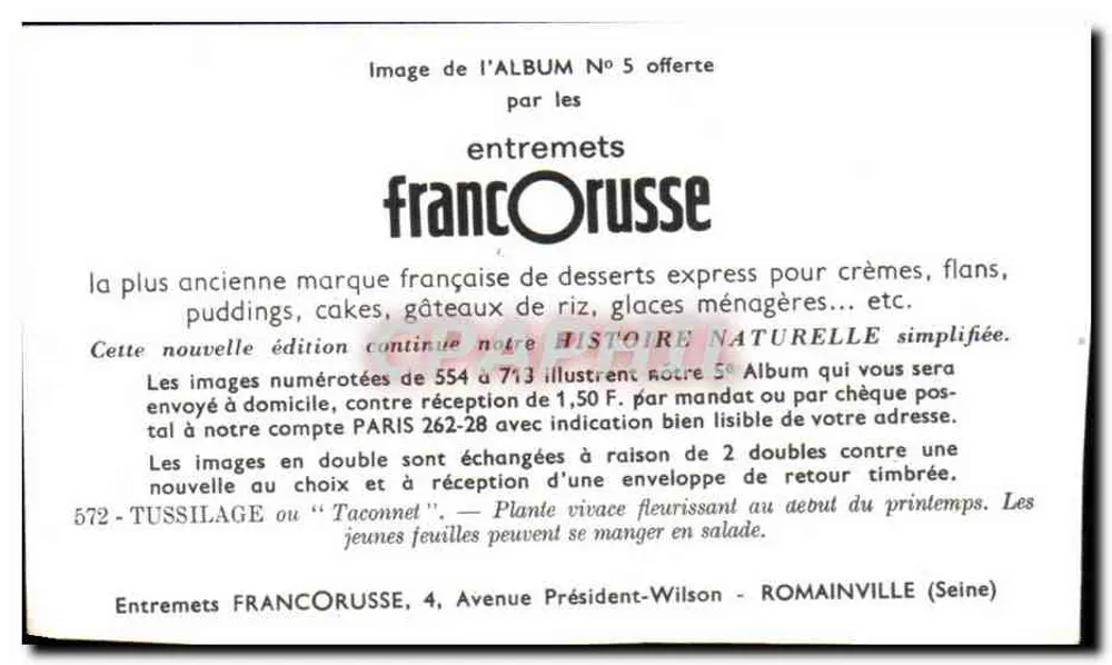 Tussilage — Planta perene florescente no início da primavera — Entremets FrancORUSSE, n°572 - Verso