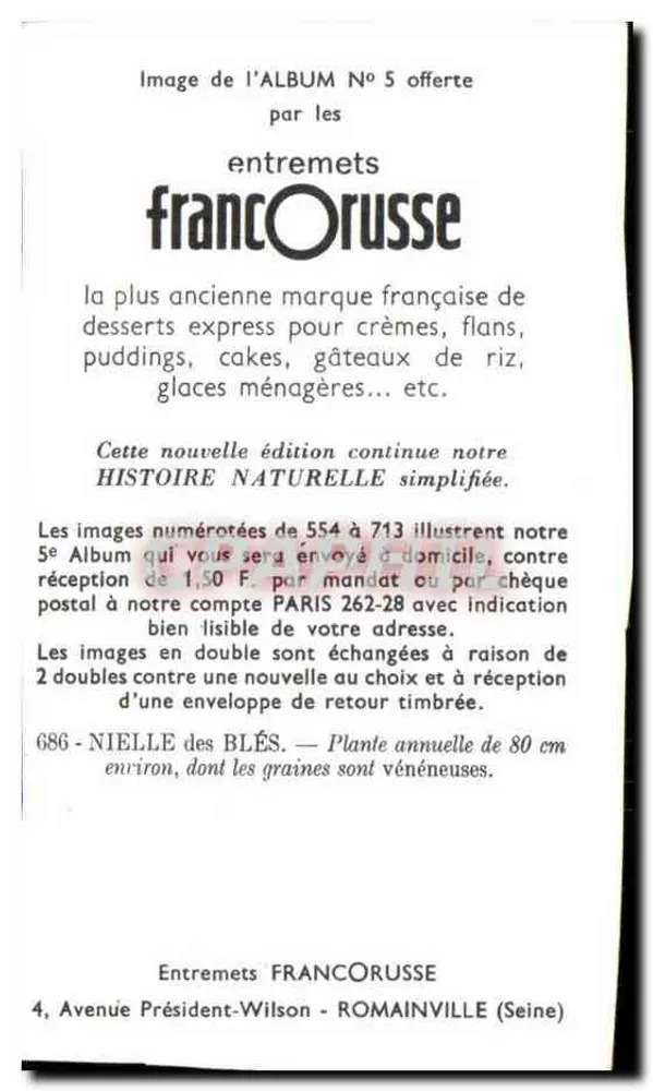 Nielle dos Trigos — Planta anual de 80 cm — Album N°5 — Entremets FrancOrusse - Verso