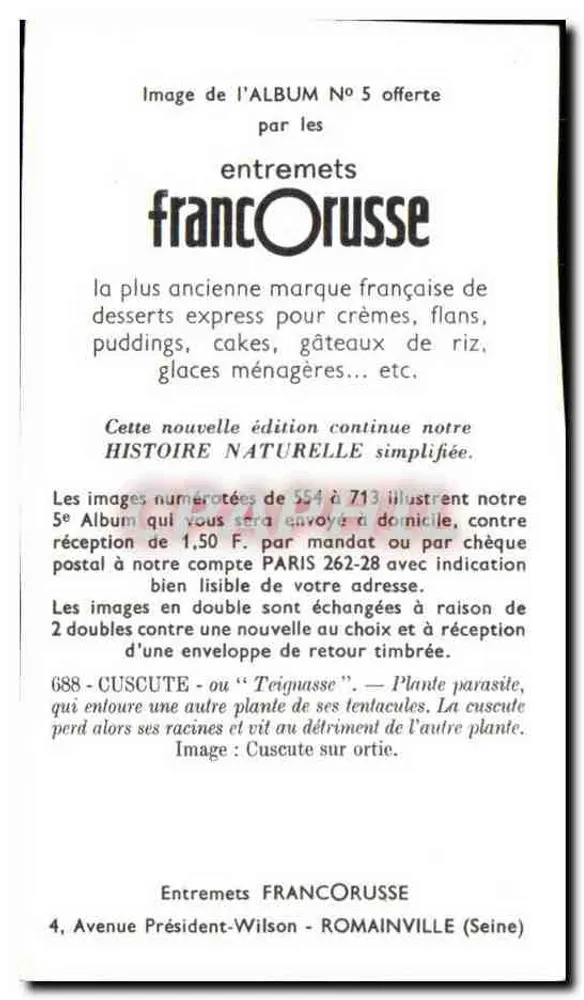 Cuscute — ou « Teignasse » — Planta parasitária — Entremets FRANCORUSSE, n° 688 - Verso