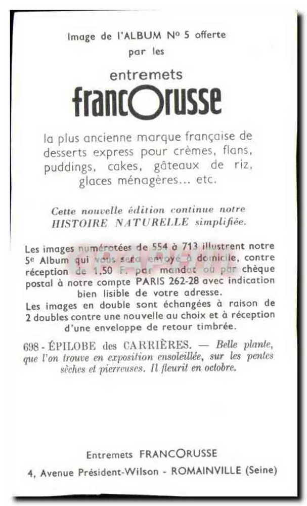 Épilobe das Carrières — Editor FrancOrusse, n°698 - Verso
