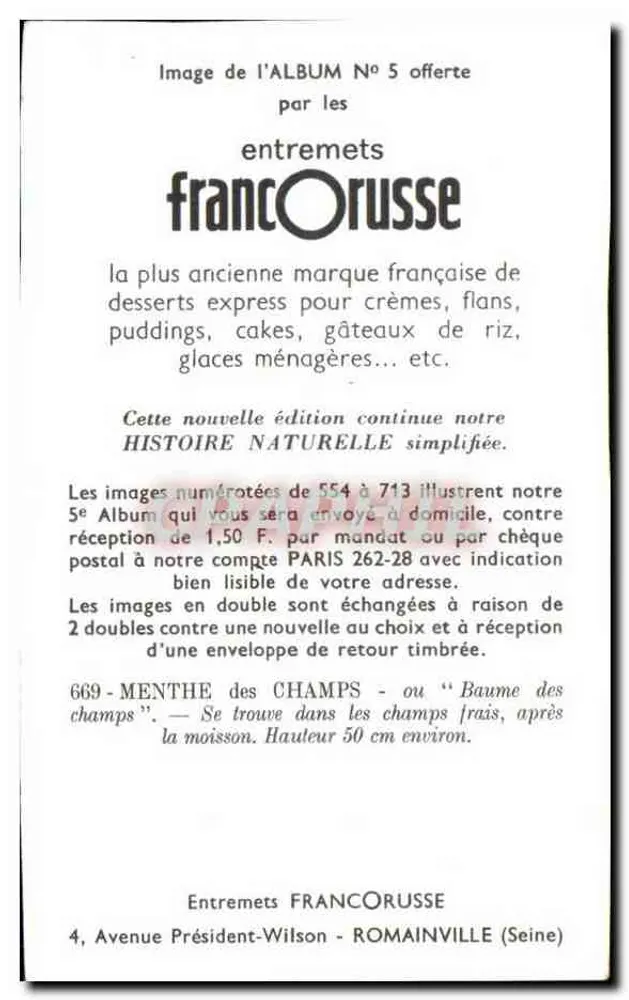 Mentha selvagem — Erva das colinas — Entremets FrancOrusse, n° 669 - Verso