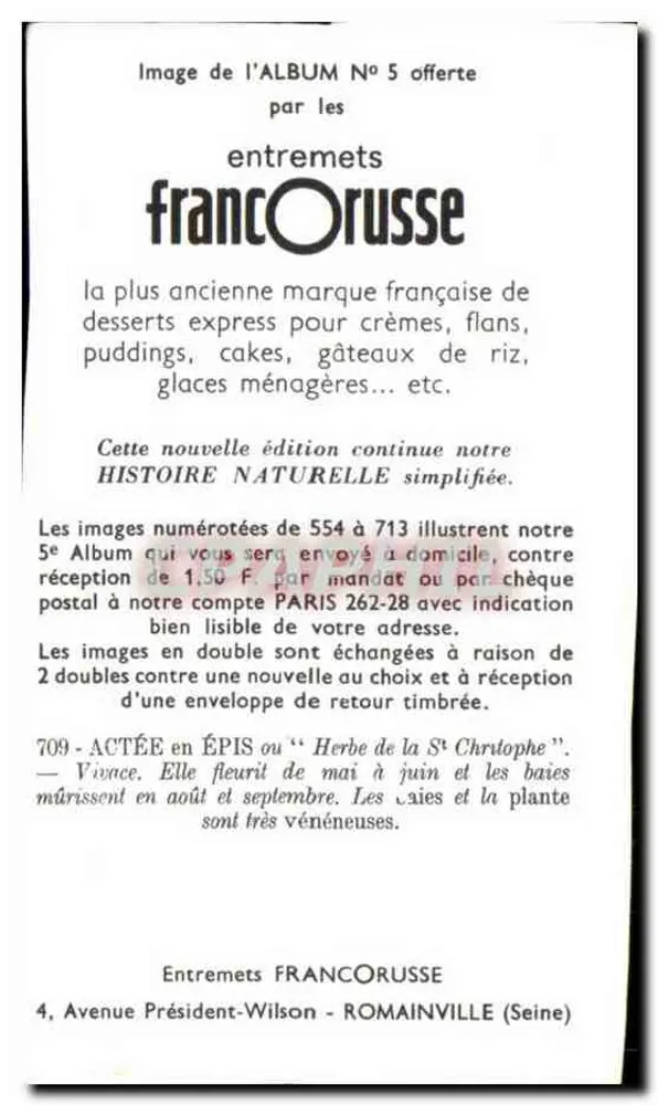 Actée en épis — Herbe de la Saint-Christophe — Entremets FrancOrusse n°709 - Verso