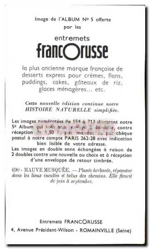 Mauve musquée — Planta herbácea, espalhada em locais descultivados e taludes de estradas — Entremets FrancOrusse, n°690 - Verso