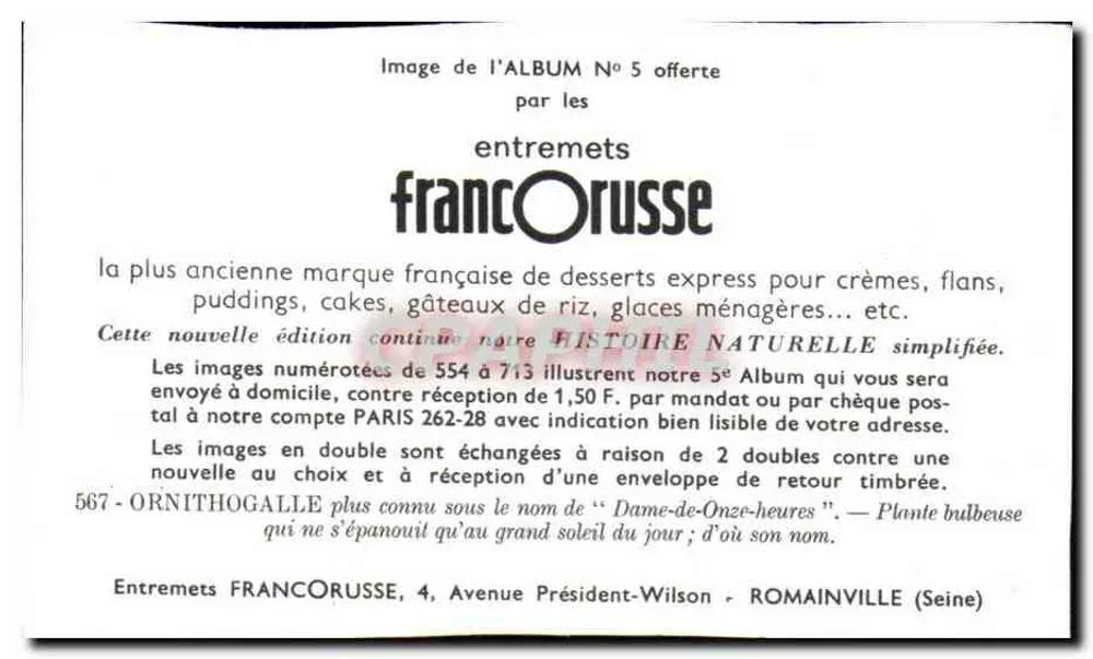 Ornithogalle — Planta bulbosa — Entremets FrancOrusse, n°567 - Verso