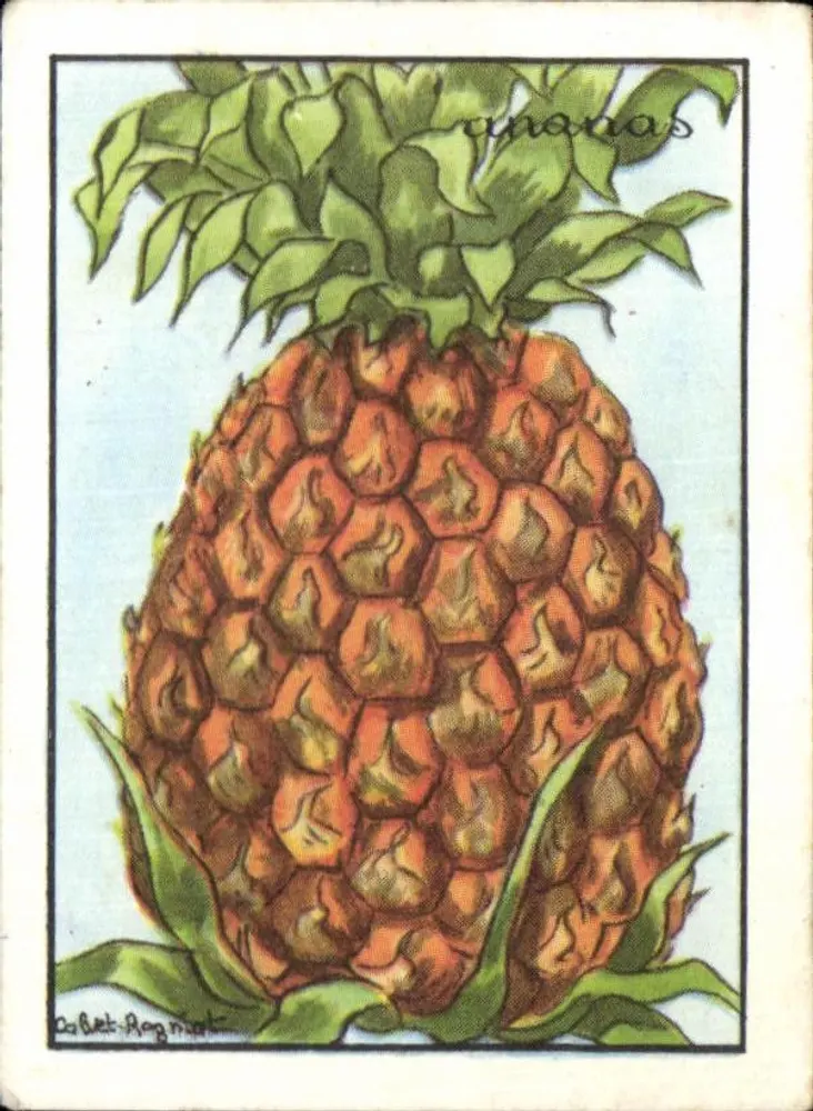 Ananas — Edições Educativas de Paris — Série B - Frente