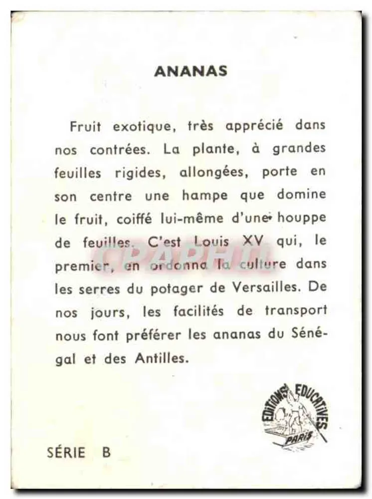 Ananas — Edições Educativas de Paris — Série B - Verso
