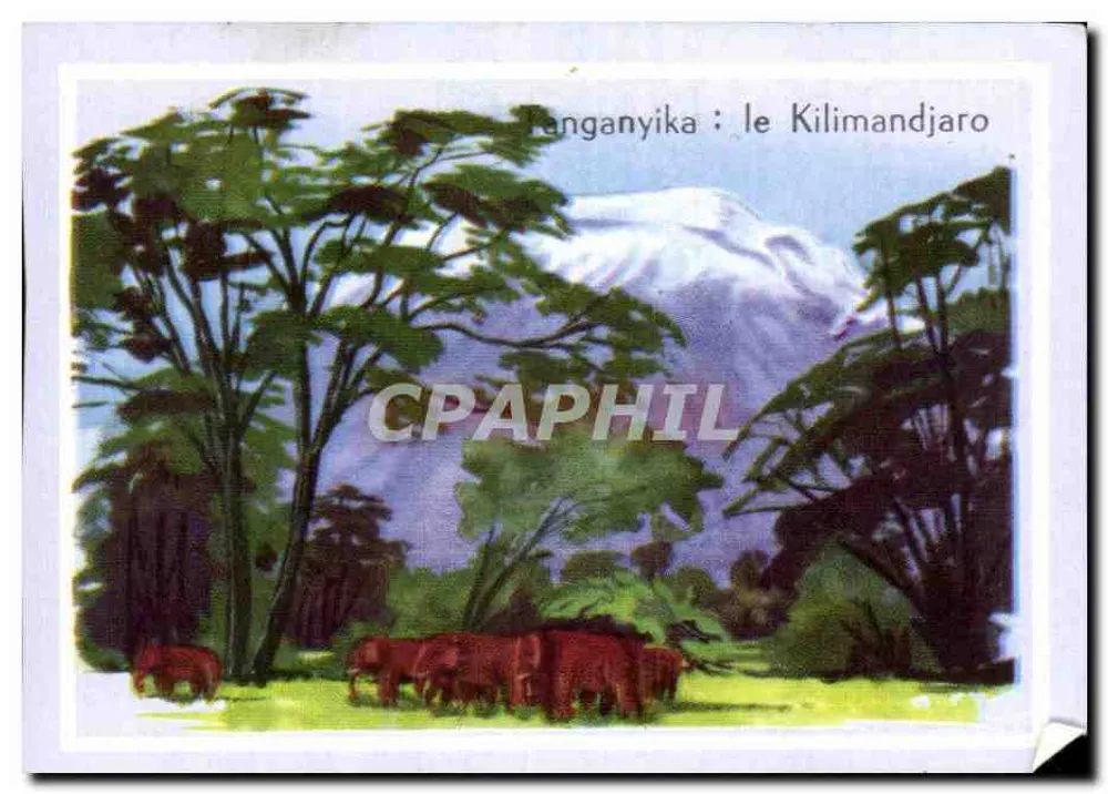 Tanganyika: o Kilimandjaro — montanha nevada com elefantes — editor G. Schreiber - Frente
