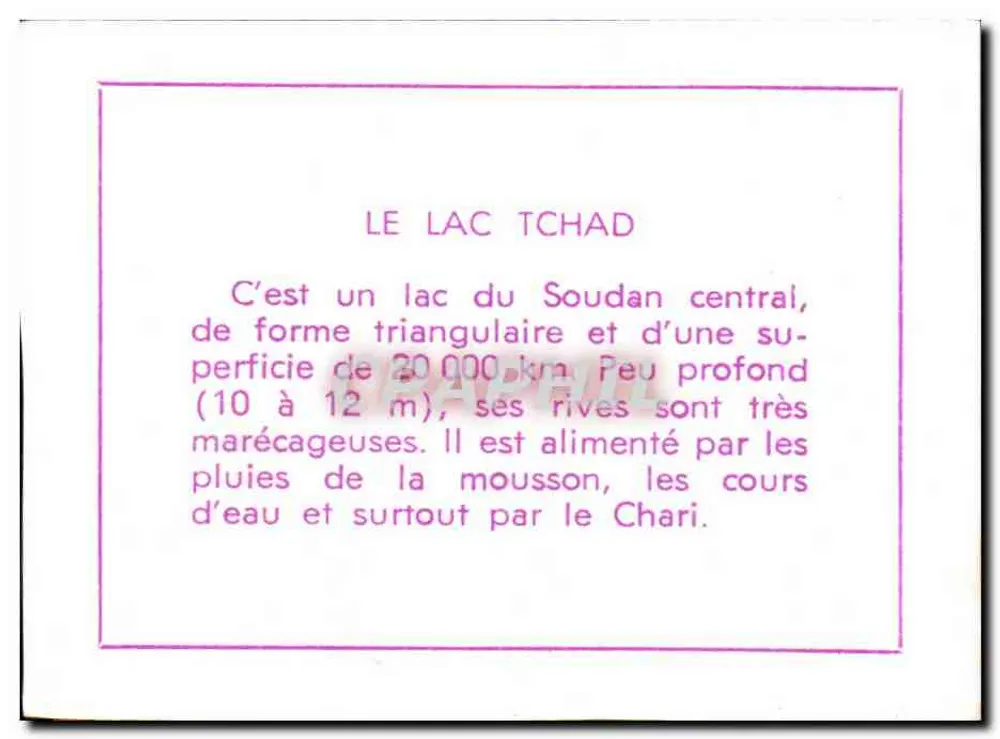 O lago Tchad — vista de pescadores em uma piroga — n° 127 - Verso