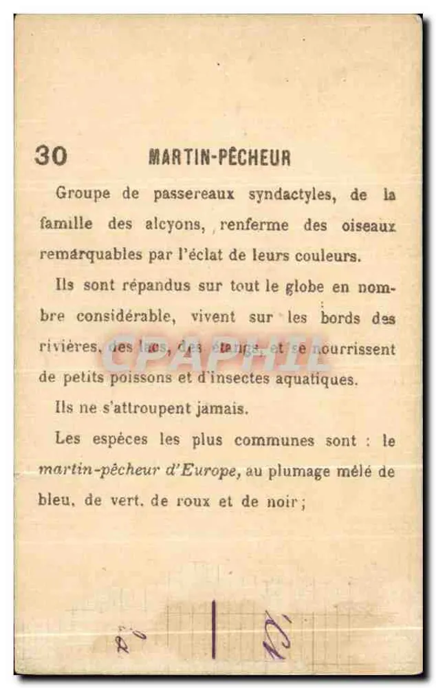 मार्टिन-पेचेर — श्रृंखला 30 — एडिटर मार्टिन-पेचेर - पीछे