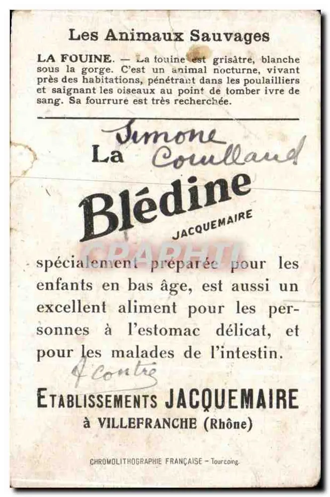 Fouine — illustration animale — éditeur Blédine - Rückseite