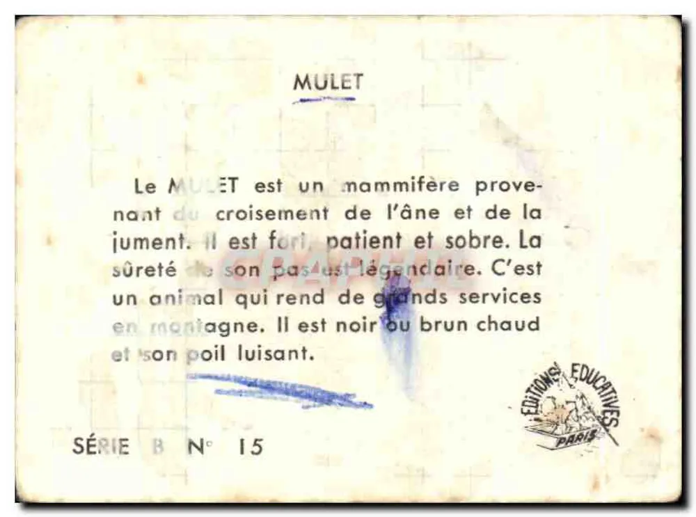 Mulo — Onderwijs — Educatieve Uitgaven Parijs, Serie B N°15 - Achterkant