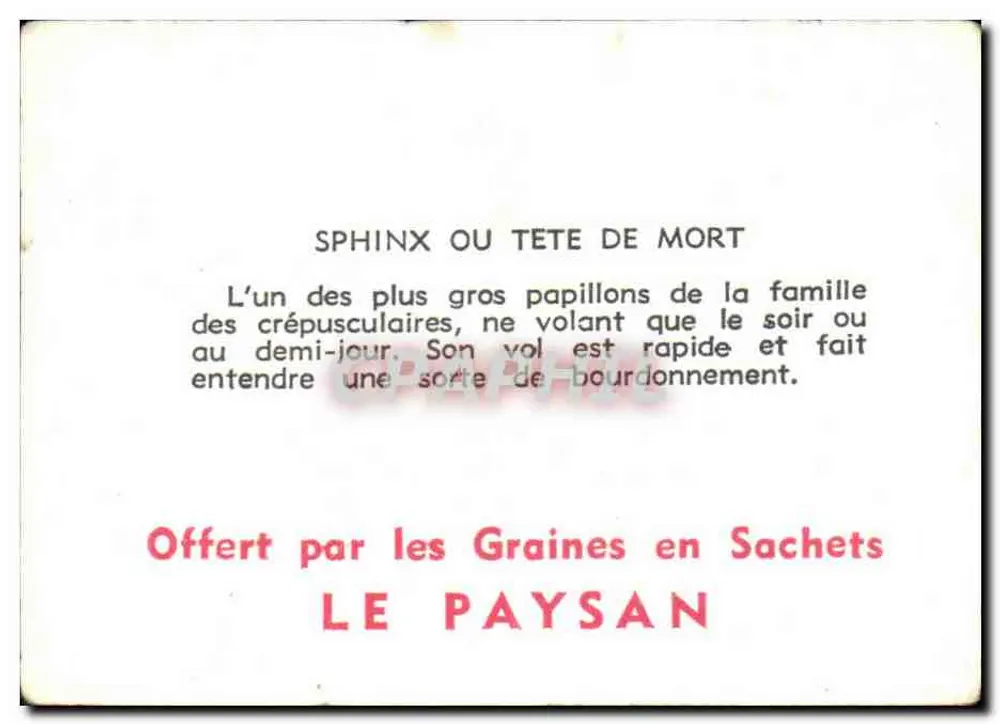 स्फिंक्स — रात के तितली — ग्रेन्स इन सैचेट्स द्वारा उपहार, LE PAYSAN - पीछे