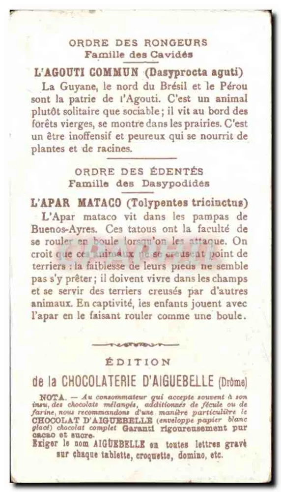 Amerika — Armadillo und Agouti — Edition der Chocolaterie d'Aiguebelle (Drôme) - Rückseite
