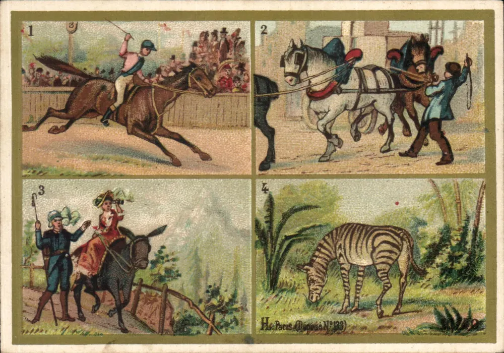Pferde und Zebra — H. Paris (Deposited N°133) - Vorderseite