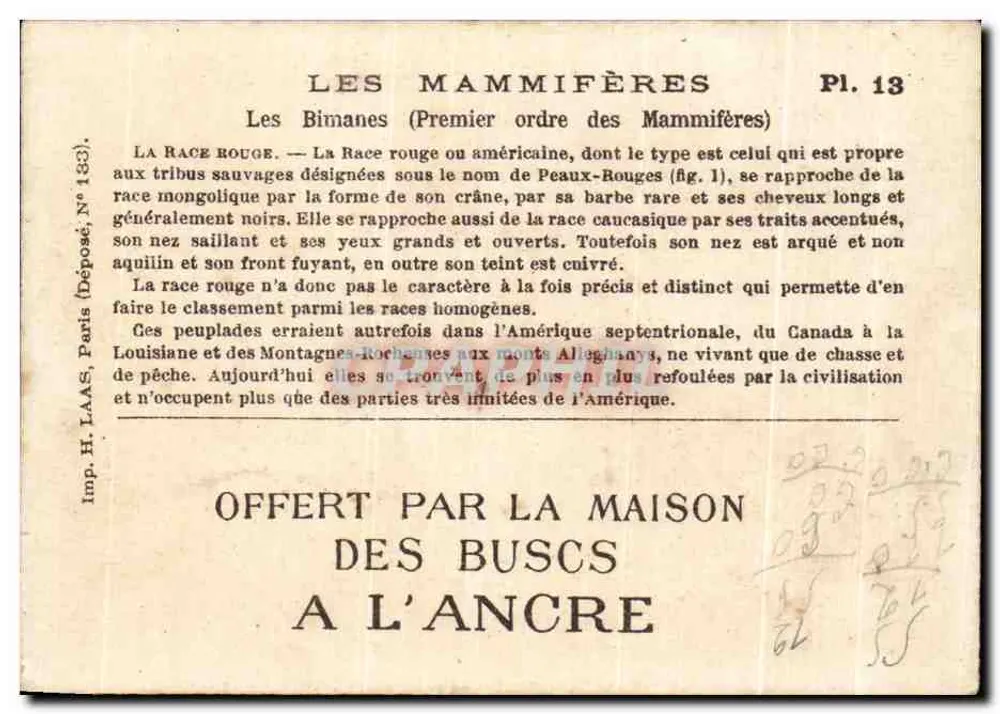 Szene des indigenen amerikanischen Lebens — H. Furtà (Deposited No. 133) — Pl. 13 - Rückseite