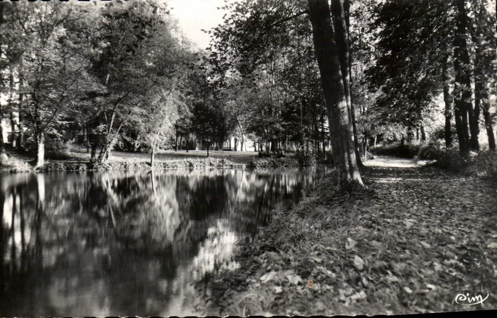 Pouguès-les-Eaux (Nièvre) — Ein Eckbereich des Parks - Der See — Fotograf RIM - Vorderseite