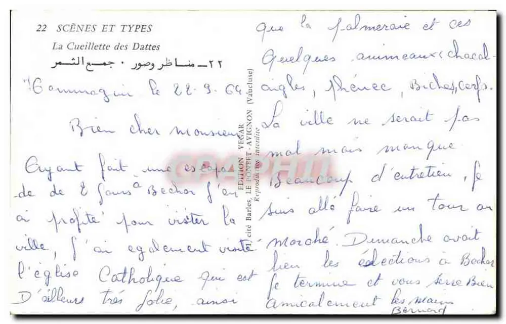 Palmeraie de Phénice — Cenas e Tipos n°22 — Edição Végar, Le Pontet - Verso