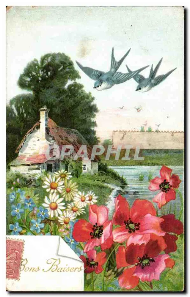 Landschaft mit Vögeln — Illustrierte Karte — Verlag nicht sichtbar - Vorderseite