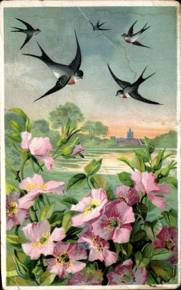 Vögel in Flug — Blühende Rosen — Verlag: 800 - Vorderseite