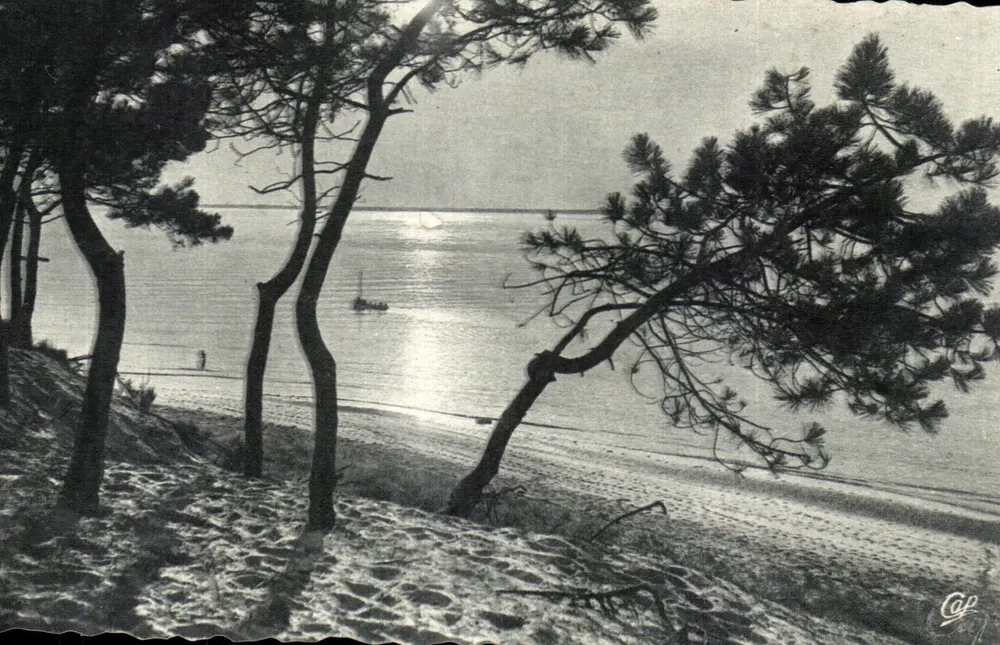 Bassin d'Arcachon — Coucher de Soleil — Cie des Arts Photographiques, 44, rue Lerellier, Paris 15 - Frente