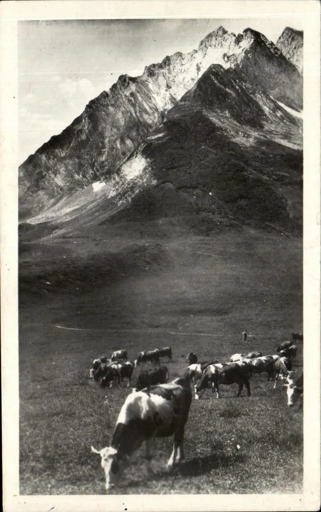 Col dos Atravis — vacas em um paisagem alpina — editor desconhecido, número de série não visível - Frente