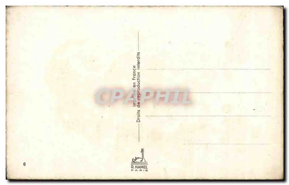 Buquê de flores — rosa, mimosa, pensão — desenho de G. Laforge - Verso