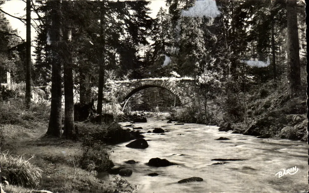 Pont des Fées über die Vologne — Gérardmer — Photo Barin - Vorderseite