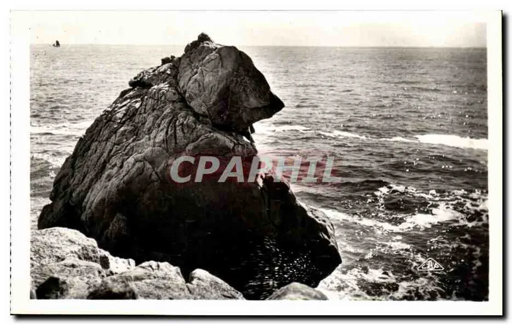Der Eisbär — Die Große Küste — Studie von Felsen — Réal-Propo, Paris - Vorderseite