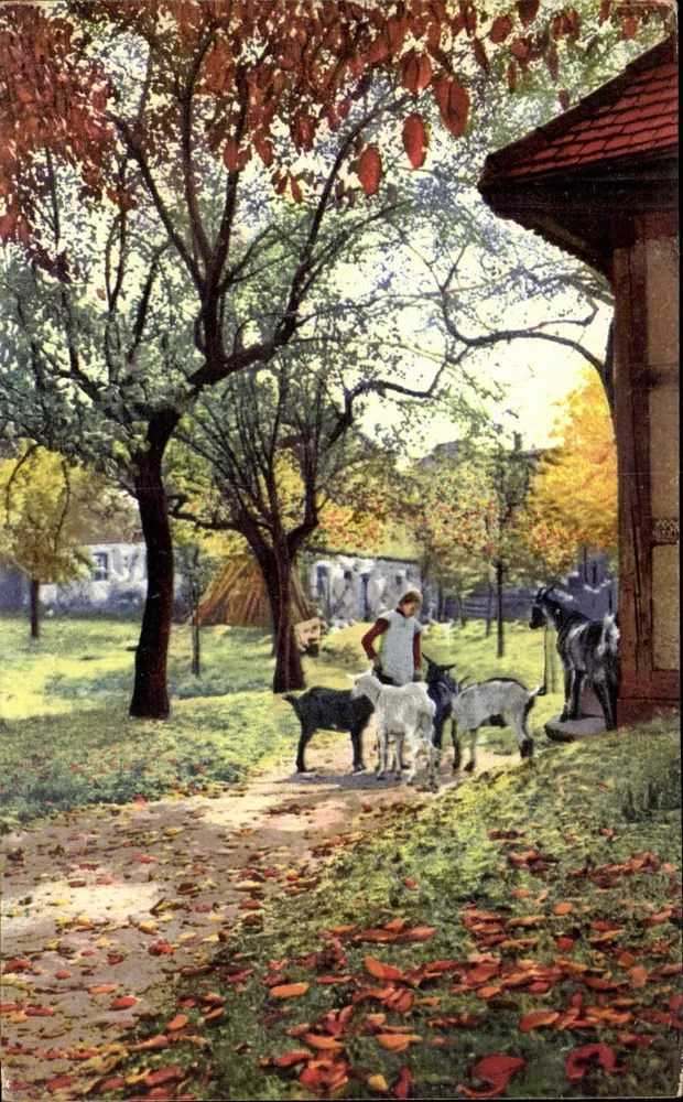 Młoda dziewczyna z kozami — Jesień — Photochromie, seria 312, nr 4734 - Awers