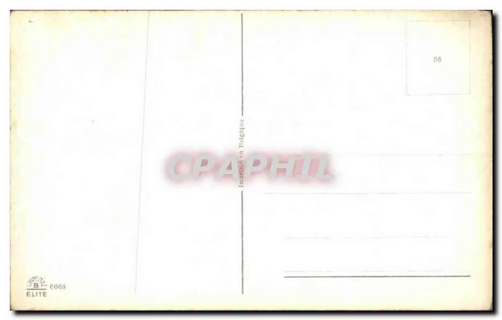 Kwitki żółte — ilustracja botaniczna — Imprimerie de Belgique, n° 6068 - Rewers