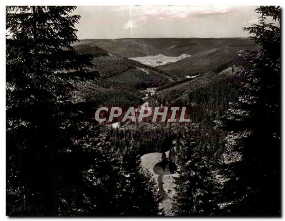 Ellibachseeblick — vista del lago Ellibach cerca de Freudenstadt — Mez Fotokarten - Anverso