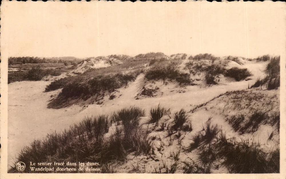 Dünen von Coquelles — markierter Weg durch die Dünen — Ern. Thill, Brüssel, Serie Plage, n° 28 - Vorderseite